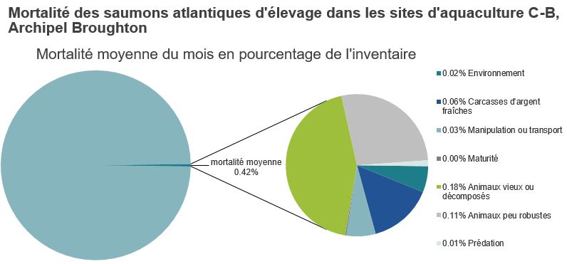 Mortalité des saumons atlantiques d'élevage dans les sites d'aquaculture C-B, Baie Clayoquot