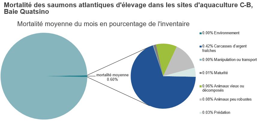 Mortalité des saumons atlantiques d'élevage dans les sites d'aquaculture C-B, Baie Quatsino