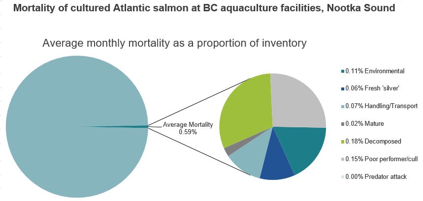 Mortality of cultured Atlantic salmon at BC aquaculture facilities, Nootka Sound