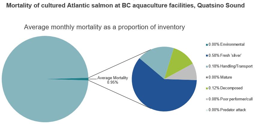 Mortality of cultured Atlantic salmon at BC aquaculture facilities, Quatsino Sound