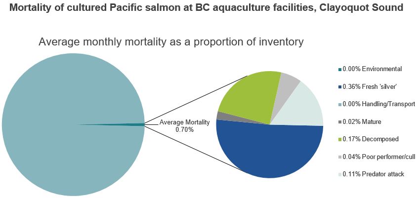 Mortality of cultured Pacific salmon at BC aquaculture facilities, Clayoquot Sound