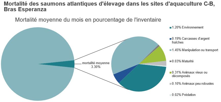Mortalité des saumons atlantiques d'élevage dans les sites d'aquaculture C-B, Bras Esperanza