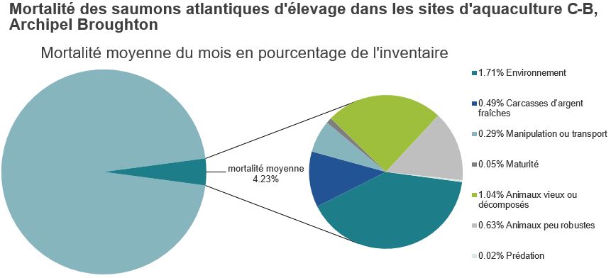 Mortalité des saumons atlantiques d'élevage dans les sites d'aquaculture C-B, Baie Clayoquot