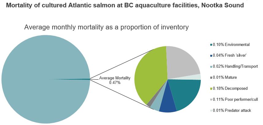 Mortality of cultured Atlantic salmon at BC aquaculture facilities, Nootka Sound
