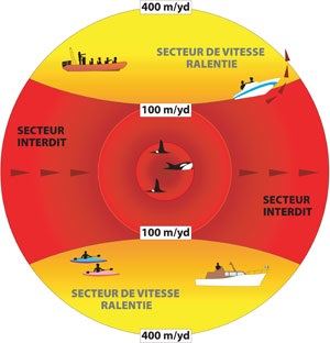 Illustration des secteurs interdits � l'observation des mammif�res marins par les plaisanciers