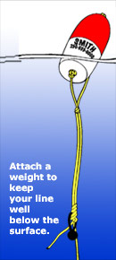 Illustration: Buoy Line