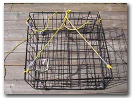 Photo of a crab trap