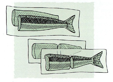 Illustration: Properly packaged salmon.