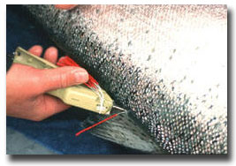 Photo of tagging salmon with a spaghetti tag