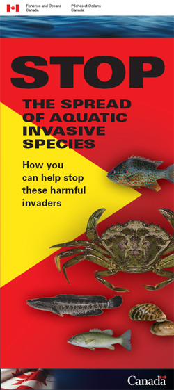 Illustration: Invasive Species Brochure Cover