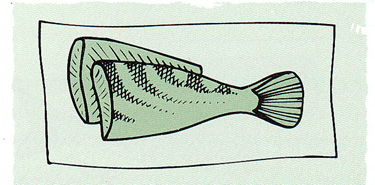 Illustration: Drawing of properly packaged rockfish.