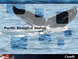 Photo: Front cover of brochure.