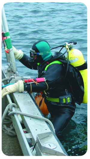 Photo: Research Diver.