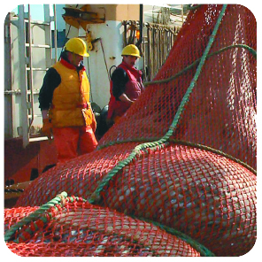 Photo: Stock assessment researchers with fishing nets.