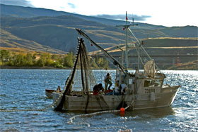 Photo: salmon fishing in Kamloops Lake, 2010