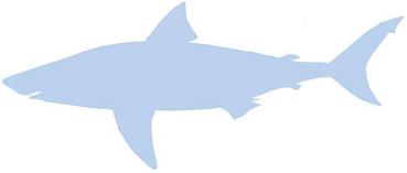 Silhouette: Great White Shark