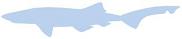 Silhouette: Sevengill Shark