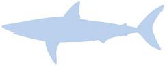 Silhouette: Shortfin Mako Shark