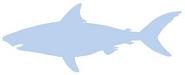 Silhouette: Salmon Shark
