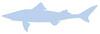 Silhouette: Spiny Dogfish