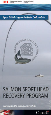 Illustration: Cover of Salmon Sport Head Recovery Program Brochure