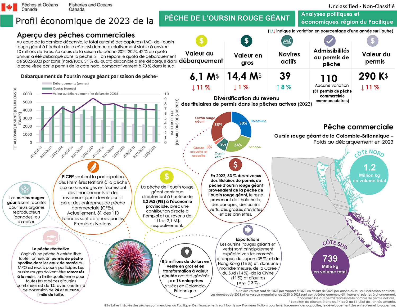 Pêche de l’oursin rouge géant