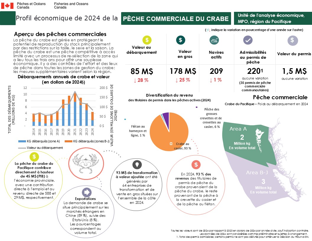 Profil économique de la pêche du crabe en 2024, aperçu des pêches commerciales