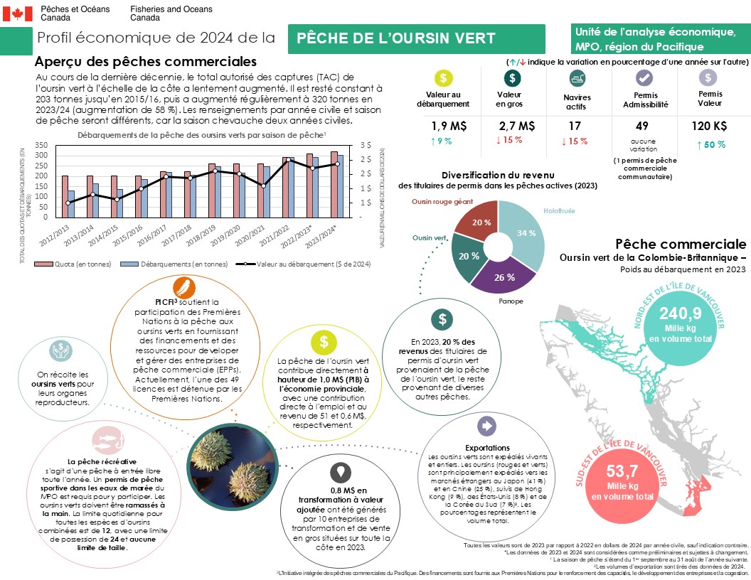 Profil économique de la pêche de l’oursin vert en 2024, aperçu des pêches commerciales