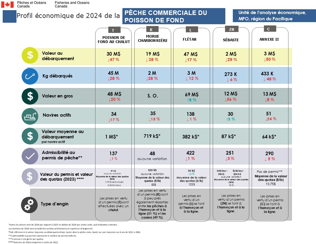 Profil économique de la pêche du poisson de fond en 2024, paramètres clés par pêche