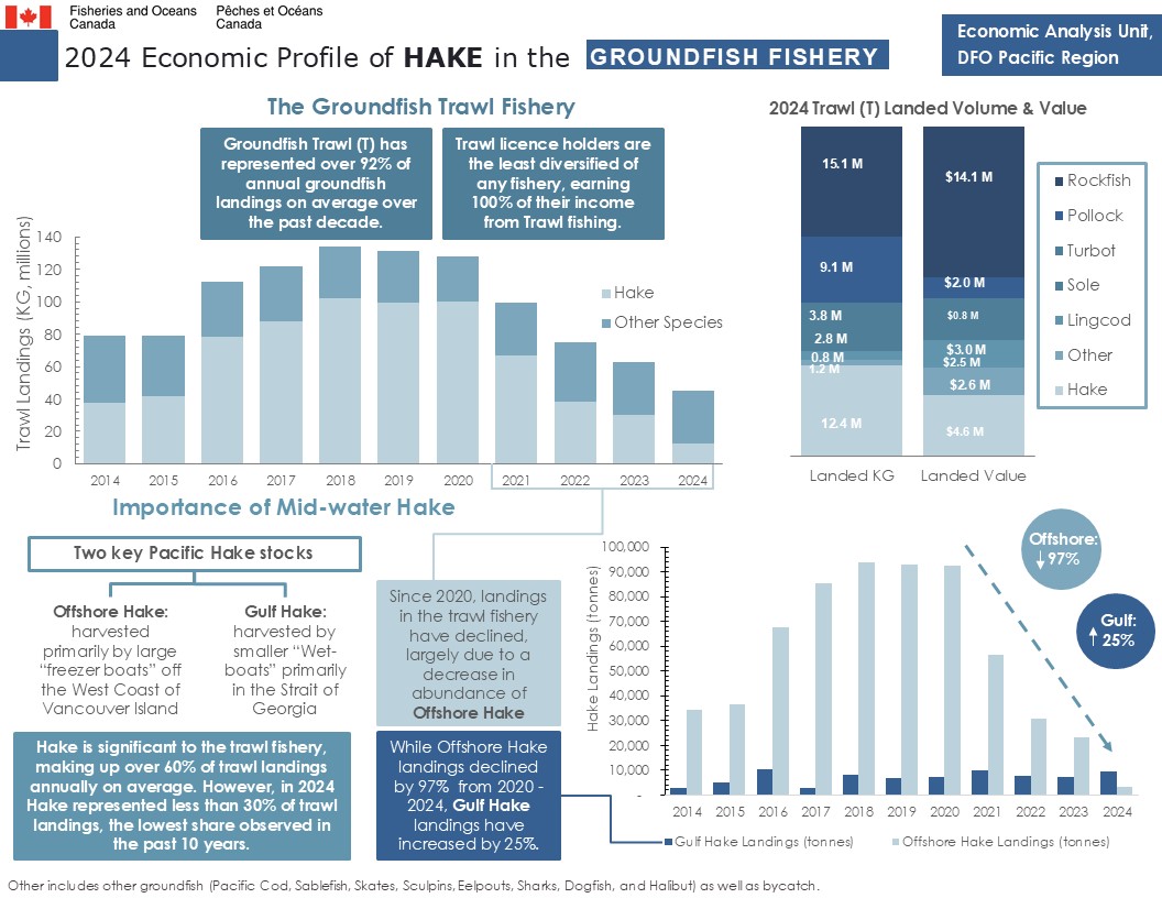 2024 Economic Profile of Hake in the Groundfish Fishery