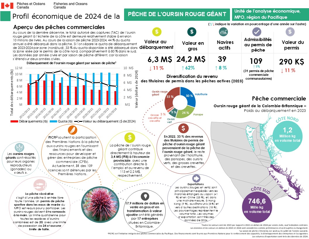 Pêche de l’oursin rouge géant