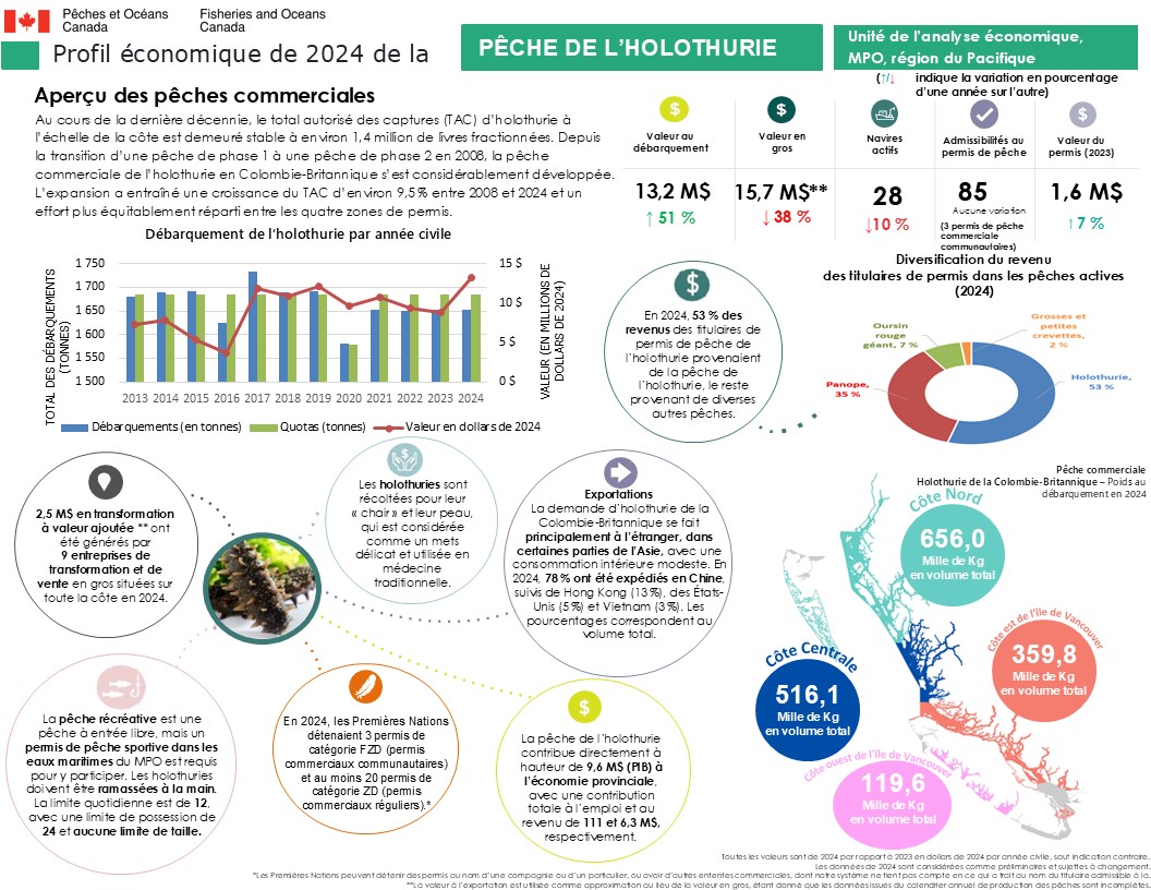Profil économique de la pêche de l’holothurie en 2024, aperçu des pêches commerciales