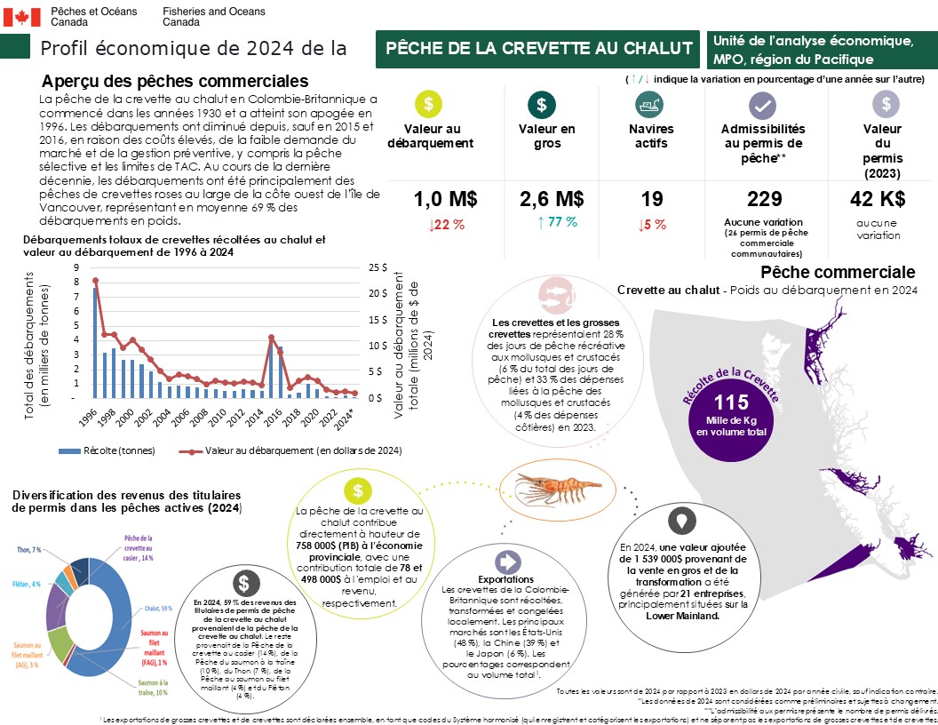 Profil économique de la pêche de la crevette au chalut en 2024, aperçu des pêches commerciales