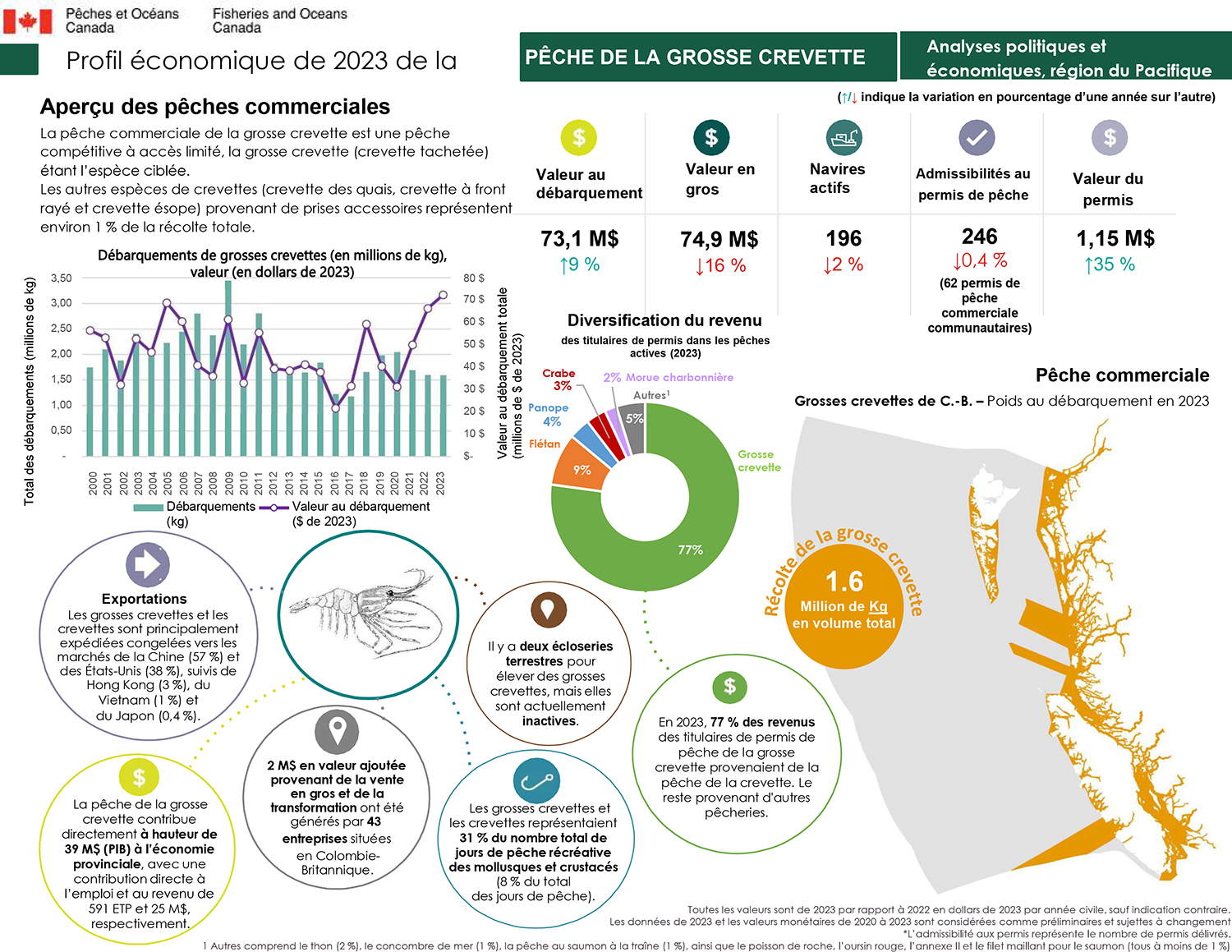 Pêche de la grosse crevette