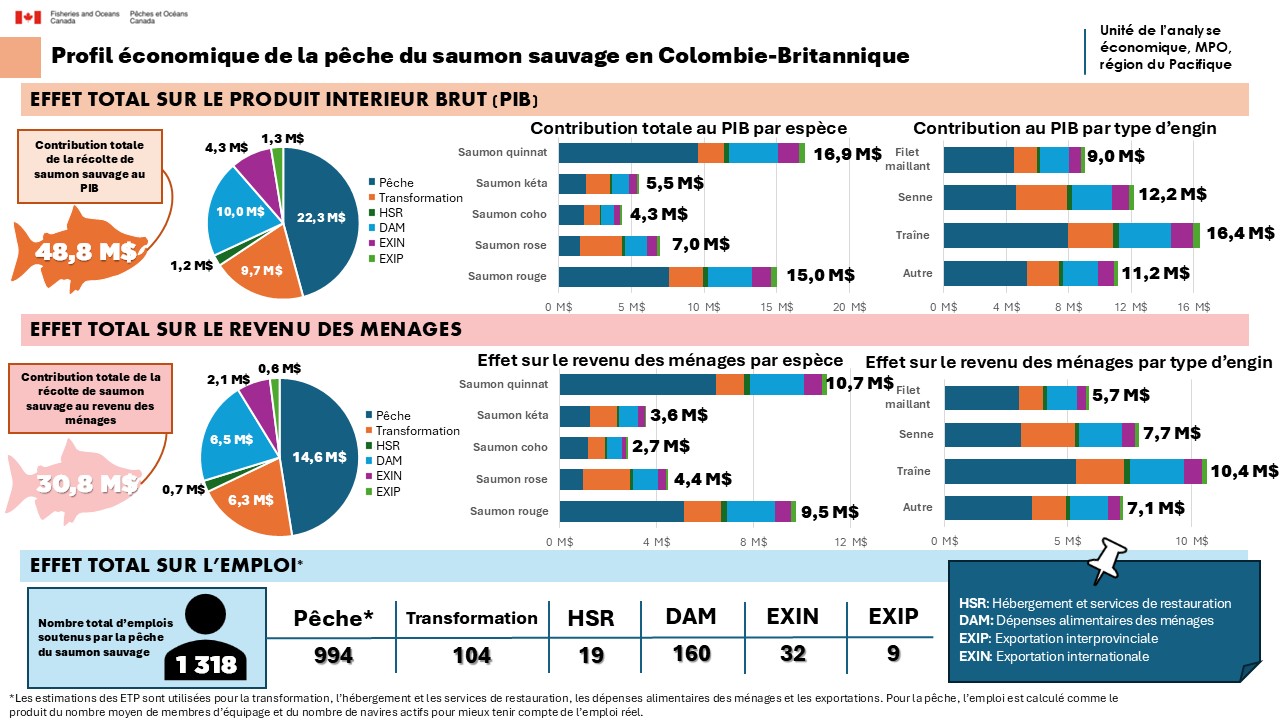 Profil économique de la pêche du saumon sauvage en Colombie-Britannique – Ébauche
