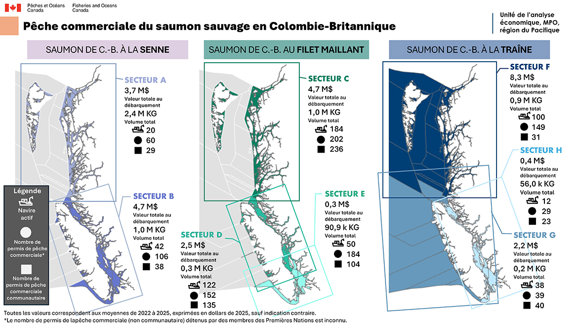 Pêche commerciale du saumon sauvage en Colombie-Britannique – Ébauche