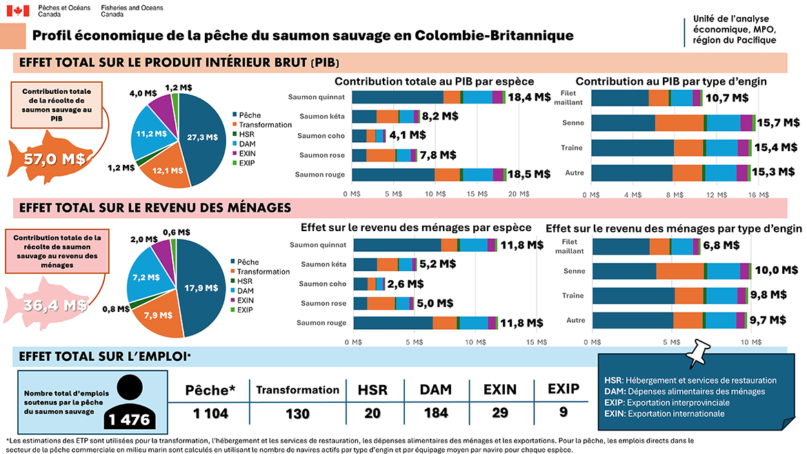 Profil économique de la pêche du saumon sauvage en Colombie-Britannique – Ébauche