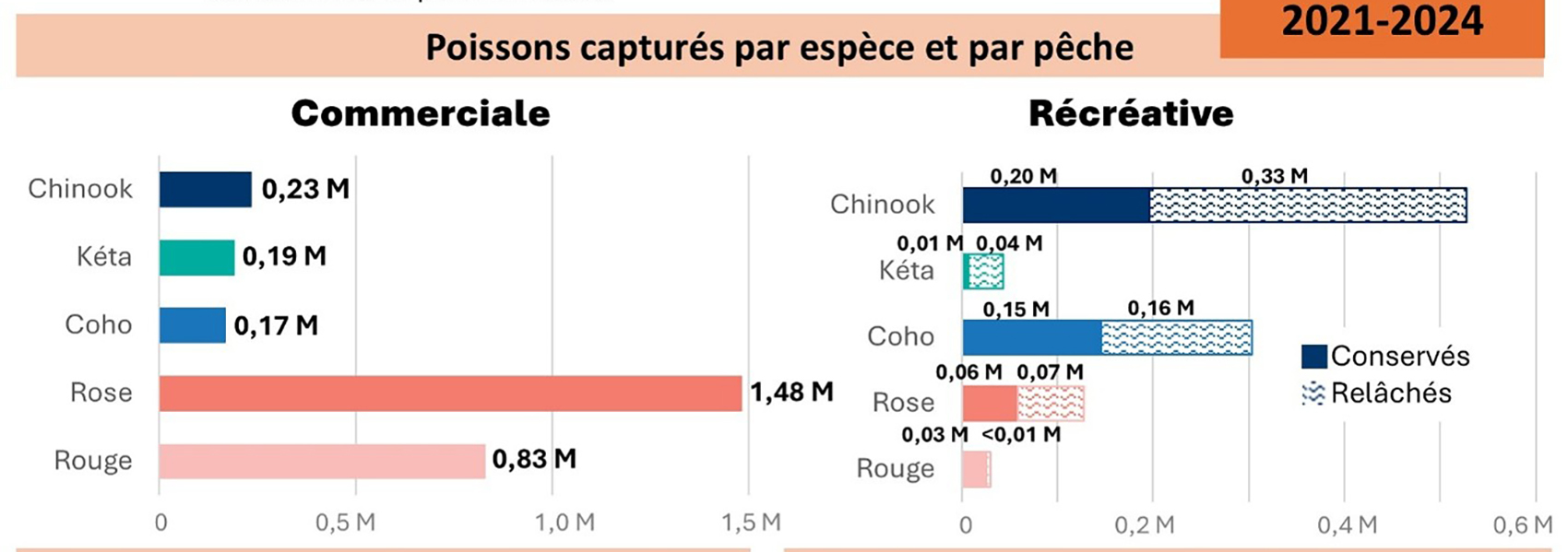 graphiques présentant le nombre de poissons capturés par espèce et par pêcherie