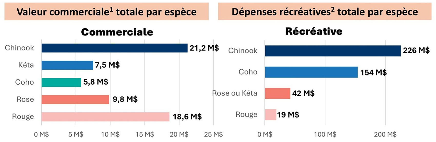 Le graphique de gauche présente la valeur du saumon commercial par espèce. Le graphique de droite présente les dépenses liées à la pêche récréative au saumon par espèce pour les années 2021 à 2024.