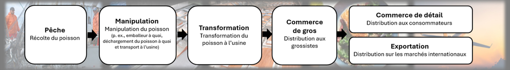 Un organigramme illustre la chaîne de valeur de la pêche commerciale