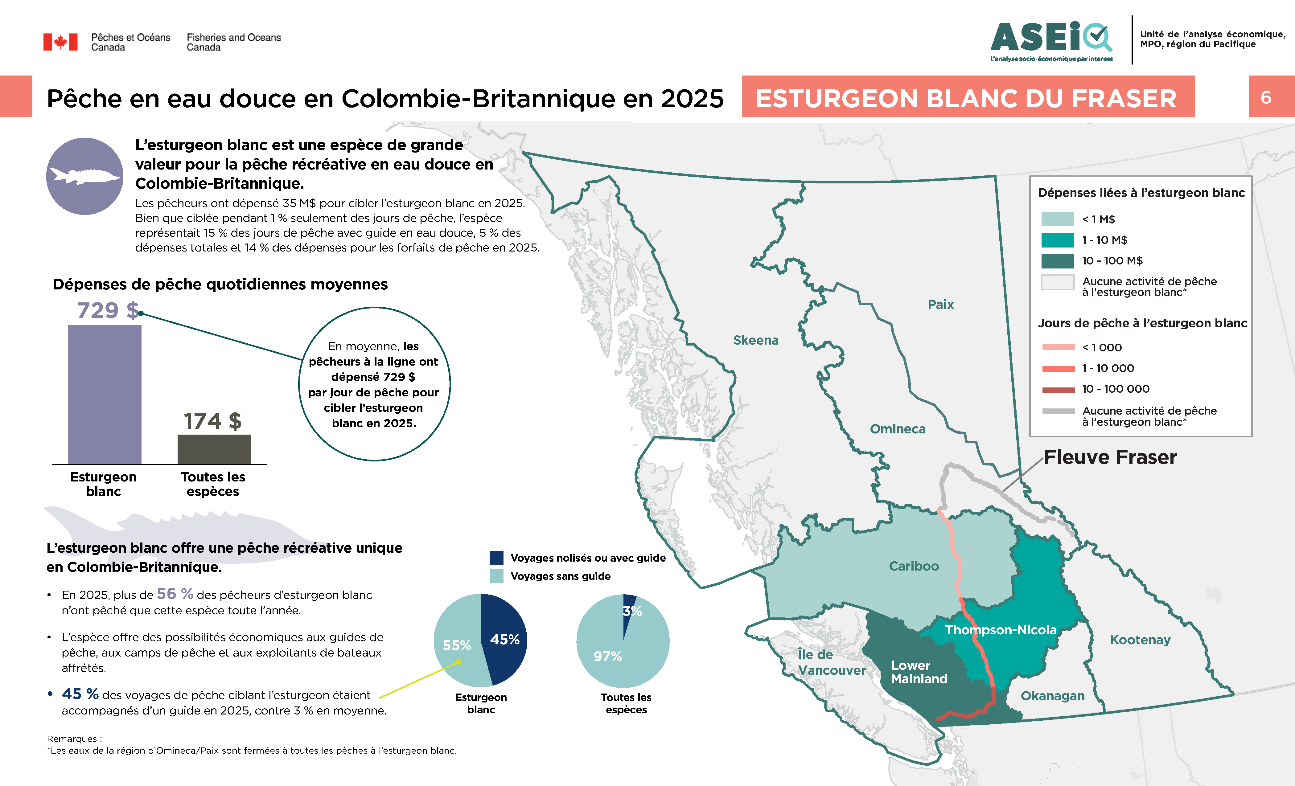 Infographie : Pêche en eau douce de l’esturgeon blanc du Fraser de la Colombie-Britannique 2025 