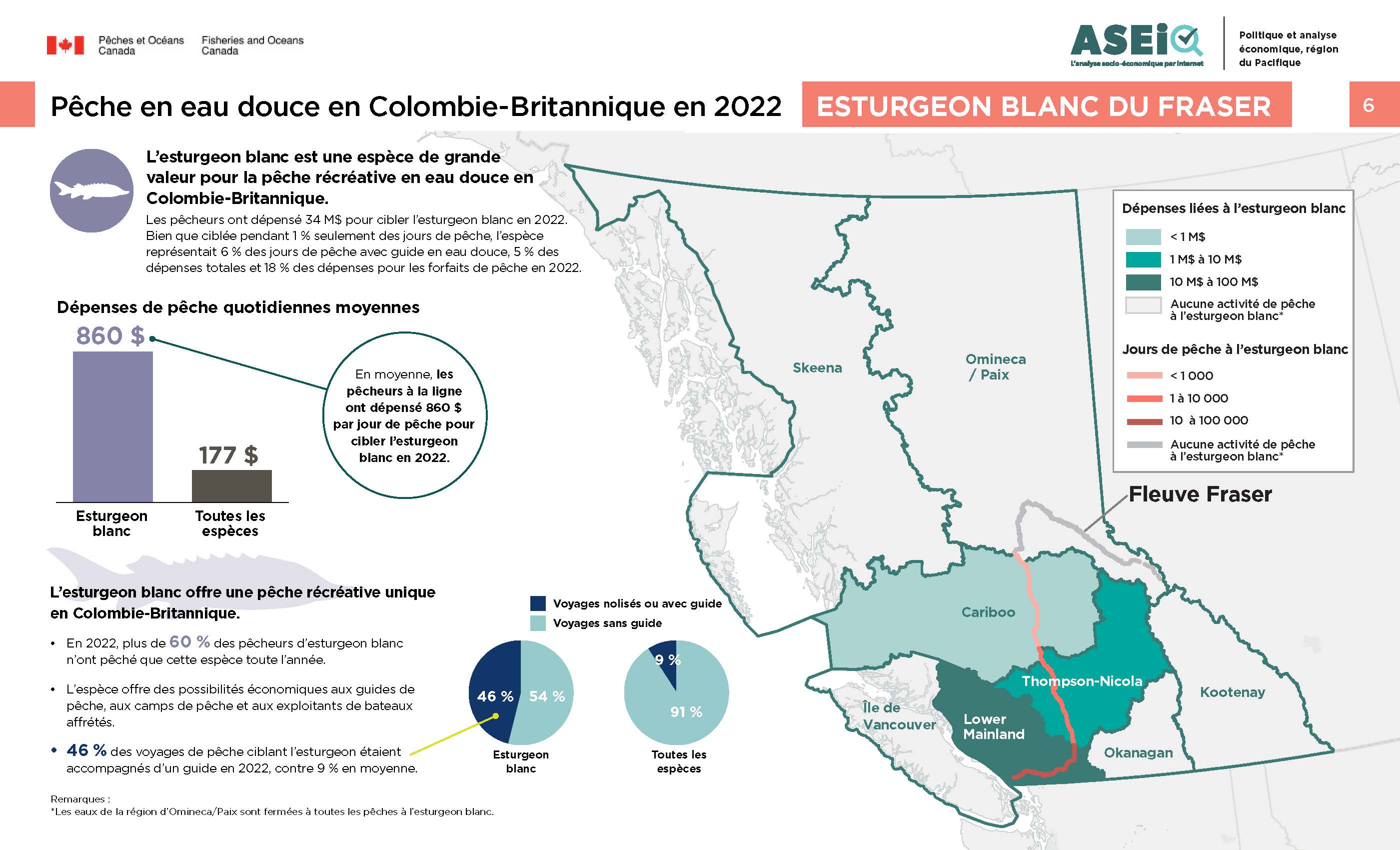 Infographie : Pêche en eau douce en Colombie-Britannique en 2022, esturgeon blanc du Fraser