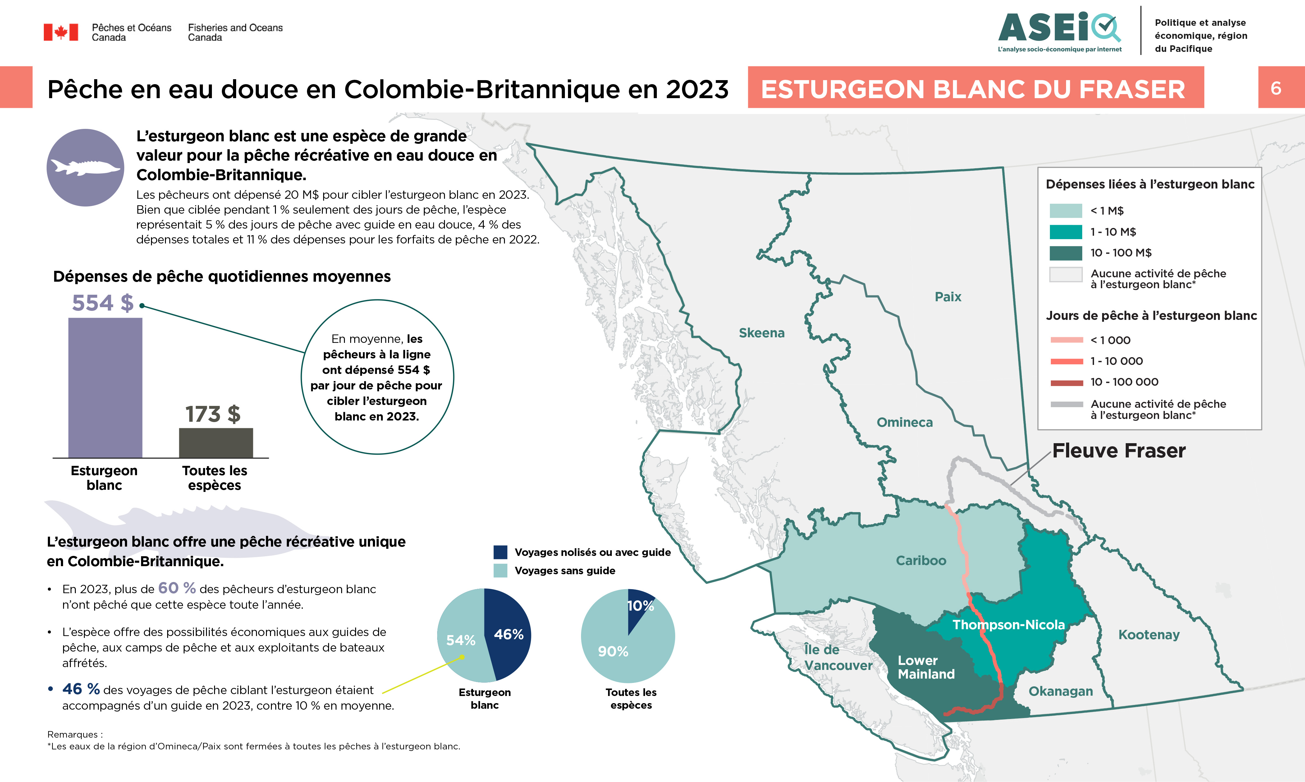 Infographie : Pêche en eau douce de l’esturgeon blanc du Fraser de la Colombie-Britannique 2023 