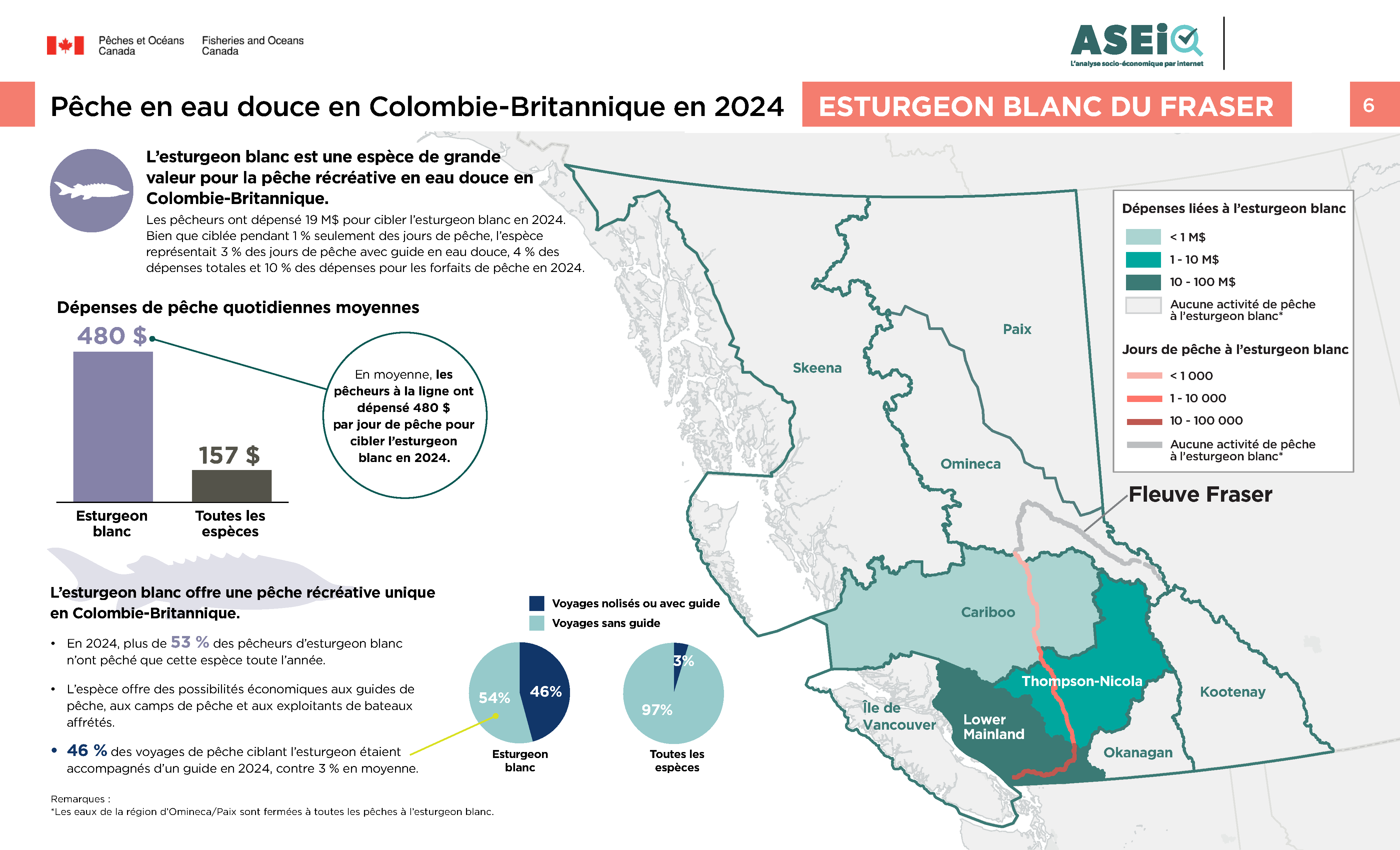 Infographie : Pêche en eau douce de l’esturgeon blanc du Fraser de la Colombie-Britannique 2024 