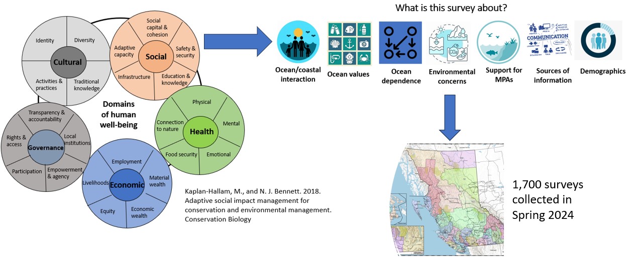 infographic of survey instrument design