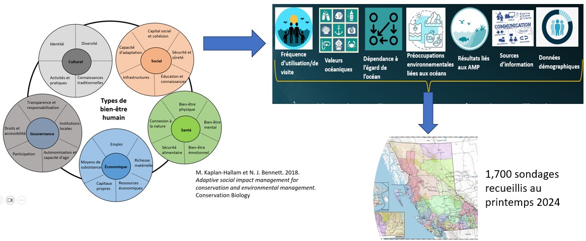 infographie sur la conception des enquêtes