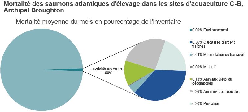 Mortalité des saumons atlantiques d'élevage dans les sites d'aquaculture C-B, Archipel Broughton