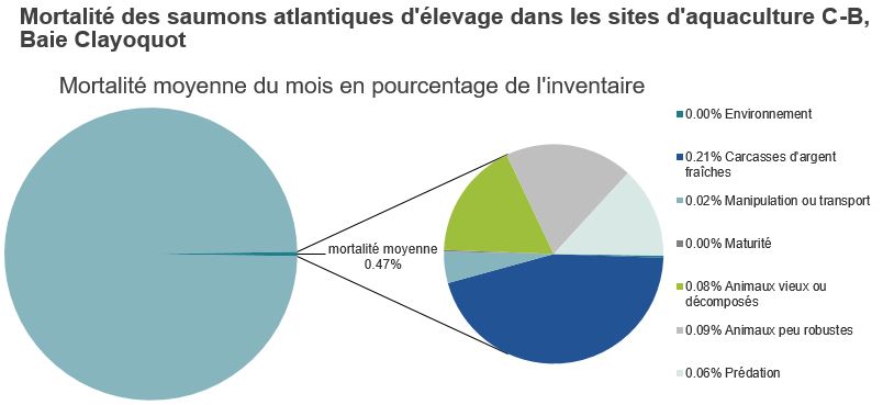 Mortalité des saumons atlantiques d'élevage dans les sites d'aquaculture C-B, Baie Clayoquot