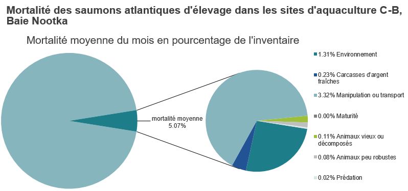 Mortalité des saumons atlantiques d'élevage dans les sites d'aquaculture C-B, Baie Nootka