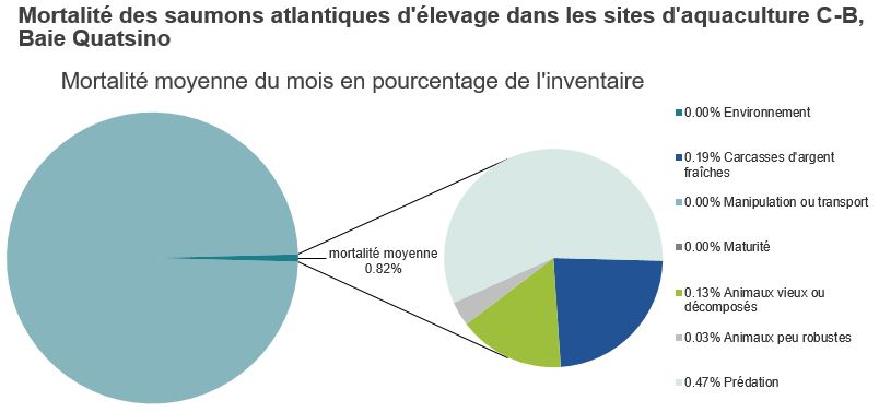 Mortalité des saumons atlantiques d'élevage dans les sites d'aquaculture C-B, Baie Quatsino